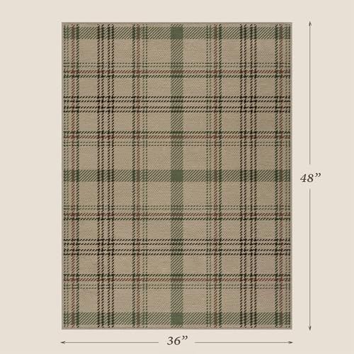 JTJ Easy Jute 3x4 Entryway Rug, Sage Green Plaid - Image 2