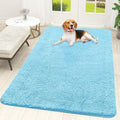 OLANLY Dog Door Mat for Muddy Paws 59x35, Super Absorbent Chenille Mud Mat by OLANLY