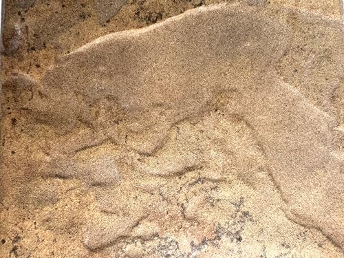 Tenedos Desert Sand 6x6 Matte Porcelain Tile – Durable Indoor & Outdoor Ceramic - Image 4