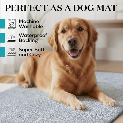 Microfiber Door Mat 20"x30" - Image 2