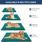 OLANLY Dog Door Mat for Muddy Paws 24x16, Extra Absorbent Chenille Mud Mat - Image 2
