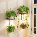 iDavosic.ly Plant Wall Hanger by iDavosicly