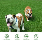 Fas Home Artificial Grass Turf 5x55 ft, Fake Grass Rug - Image 2