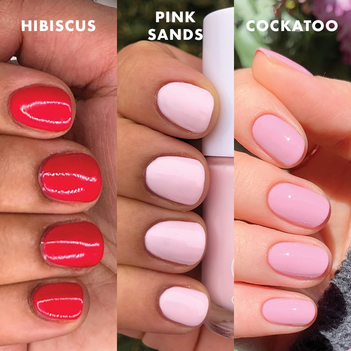 Olive & June Best Sellers Nail Polish Set | Includes 3 Long Lasting Shades (Cockatoo, Pink Sands, Hibiscus) + Super Glossy Top Coat | Vegan, Cruelty-Free | Salon-Quality Results at Home