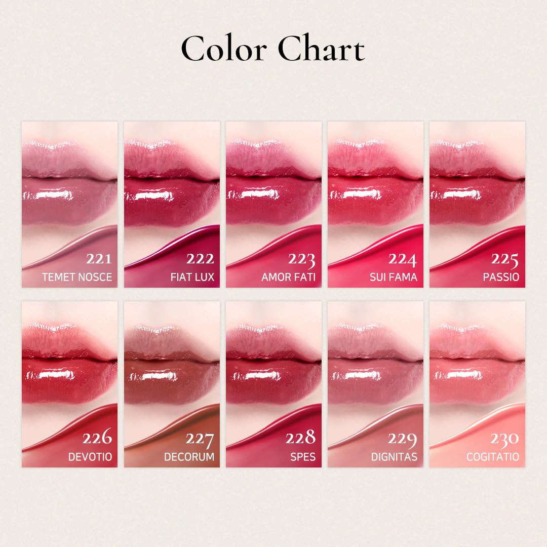 DINTO Blur-Glowy Lip Tint - Glossy Finish, Hydrating, Long Lasting, Lightweight Texture, Non-Sticky, Vegan & Cruelty-Free, K beauty (219 Ave Maria, 0.11 fl.oz)