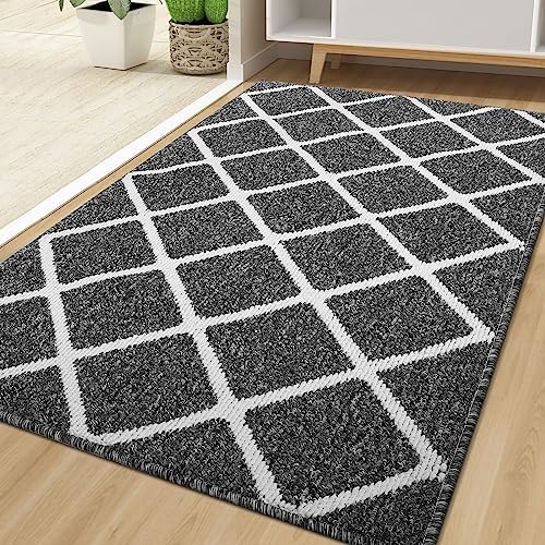 Finchitty Indoor Door Mat, Dirt Resistant Doormat by Finchitty