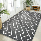 OLANLY Front Door Mat 59x35, Low-Profile Easy Clean Doormat by OLANLY