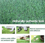 Artificial Grass Turf 11FTX52FT, 38inch 4 Tone Realistic Synthetic Thick Fake - Image 5