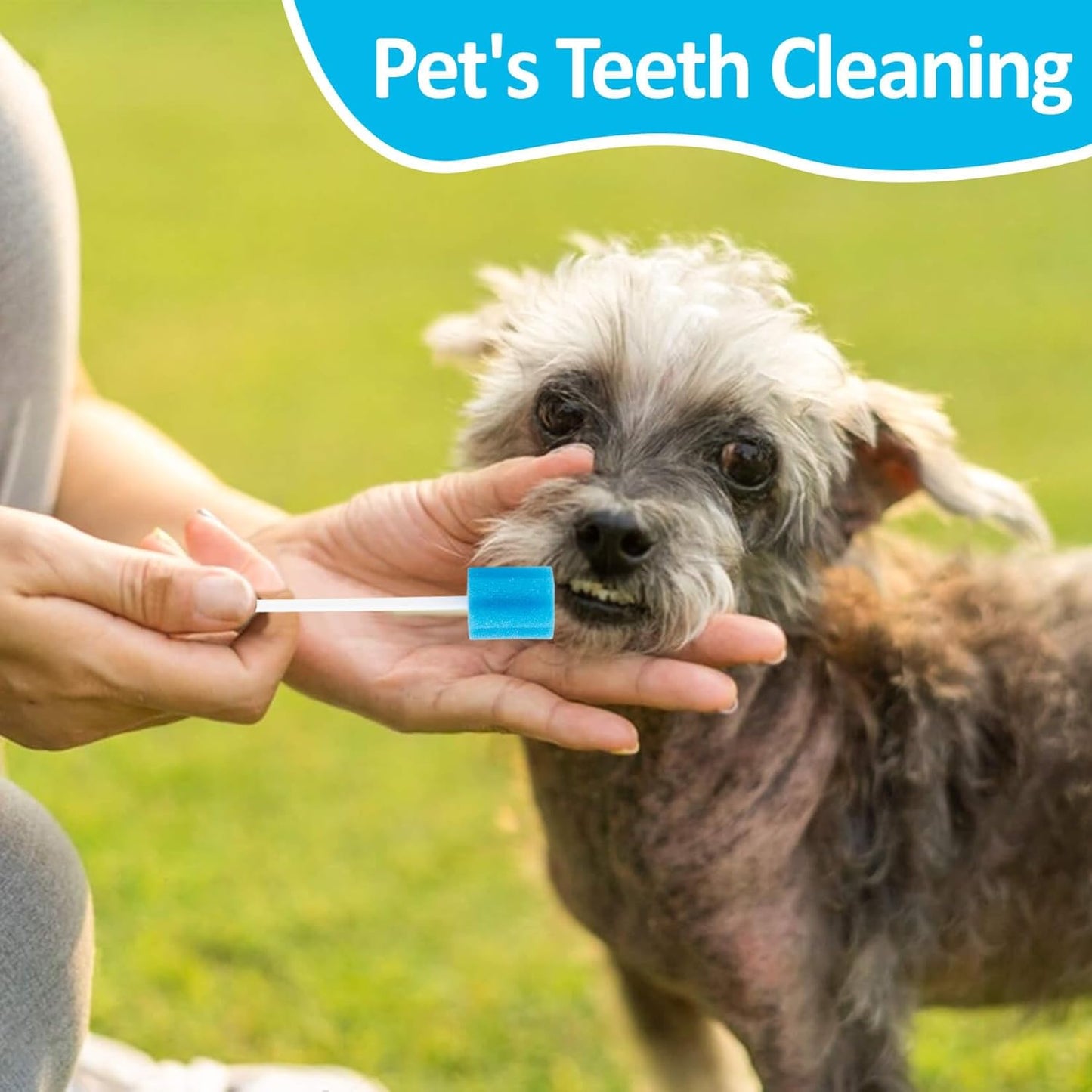 50 Oral Cleaner Swabs Disposable Sponge - Toothettes Mouth Swabs Swabsticks for Elderly Dry Mouth Waterless Toothbrushes on the go Mini Pet Children Sterile Thrush Mouth Treatment