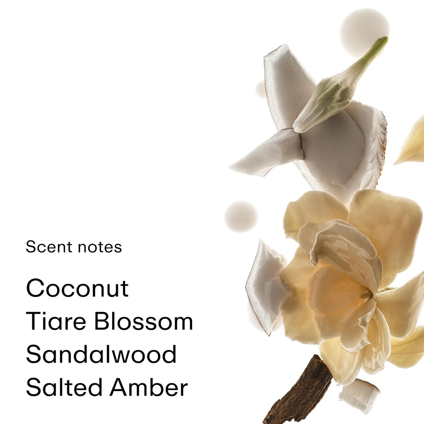 PHLUR Coconut Skin Body Mist - Hair & Body Fragrance Mist - Coconut Body Spray with Caramel, White Florals, Sandalwood & Amber (8 Fl Oz)