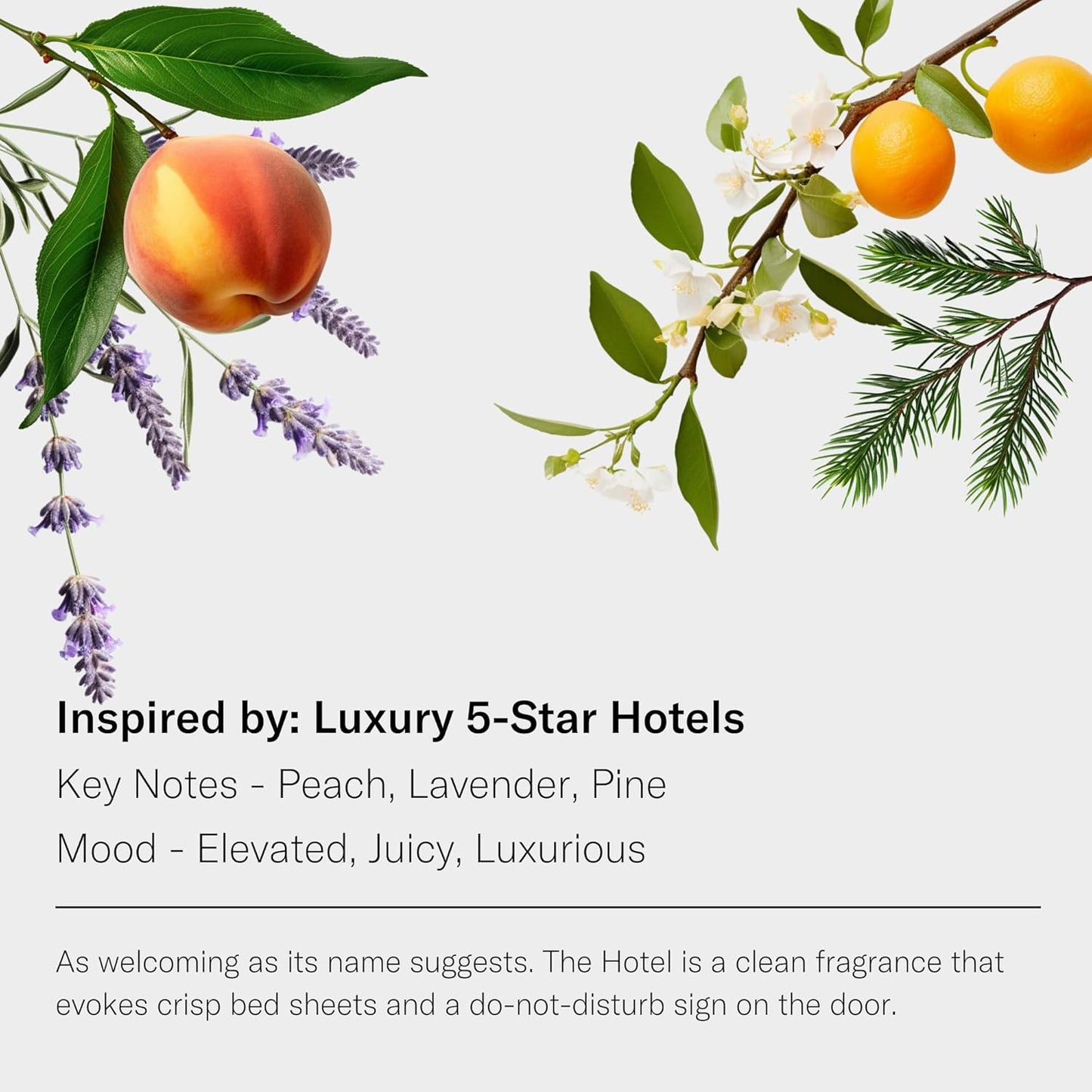 AromaTech The Hotel Aroma Essential Oil Blend: Luxury Hotel Inspired Aromatherapy with Lemon, Lavender, Peach & Pine for Ultrasonic Diffusers & Nebulizers - 16 fl oz, 500 mL