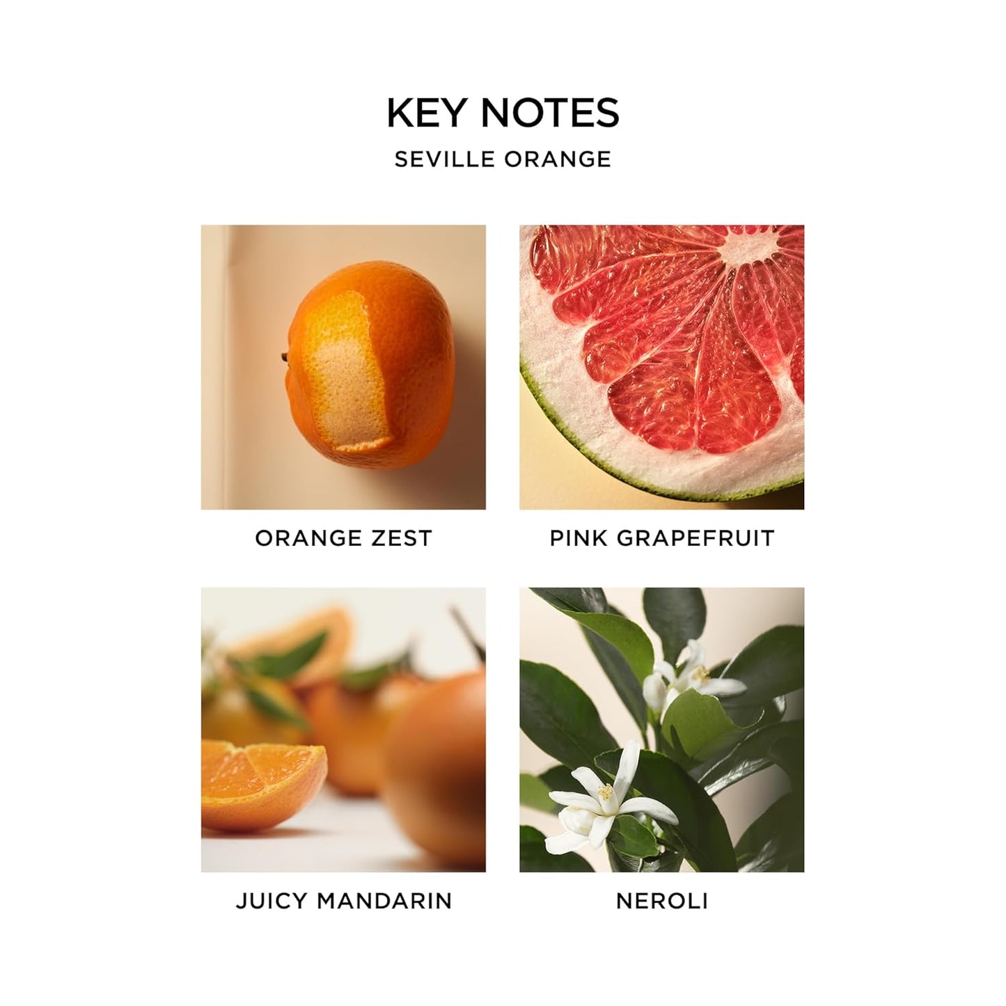 NEST New York Seville Orange Body Mist - 125 mL - Vegan & Cruelty Free