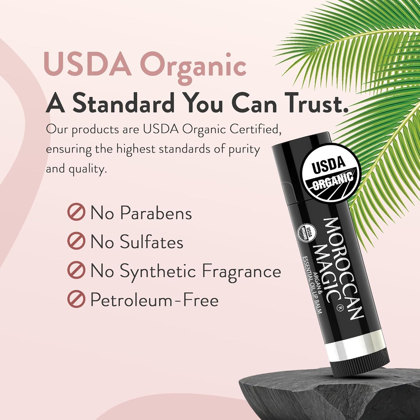 Moroccan Magic Organic Lip Balm & SPF15: 11 Piece Variety Pack Gift Set | Organic Argan and Essential Oils | Smooth | Natural | Non-Toxic | Cruelty Free | 11 Pack