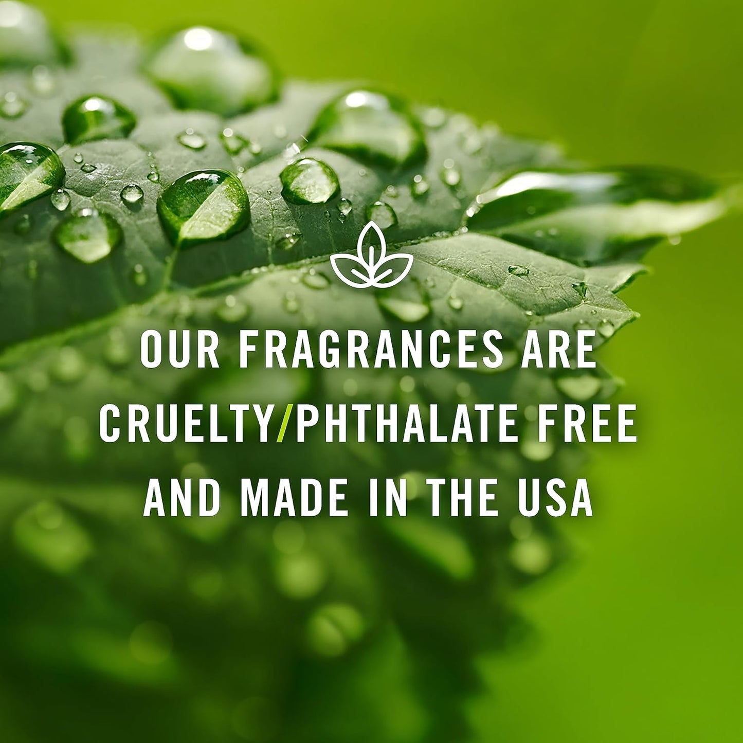 P&J Fragrance Oil - Cotton Candy Scented Candle 100ml