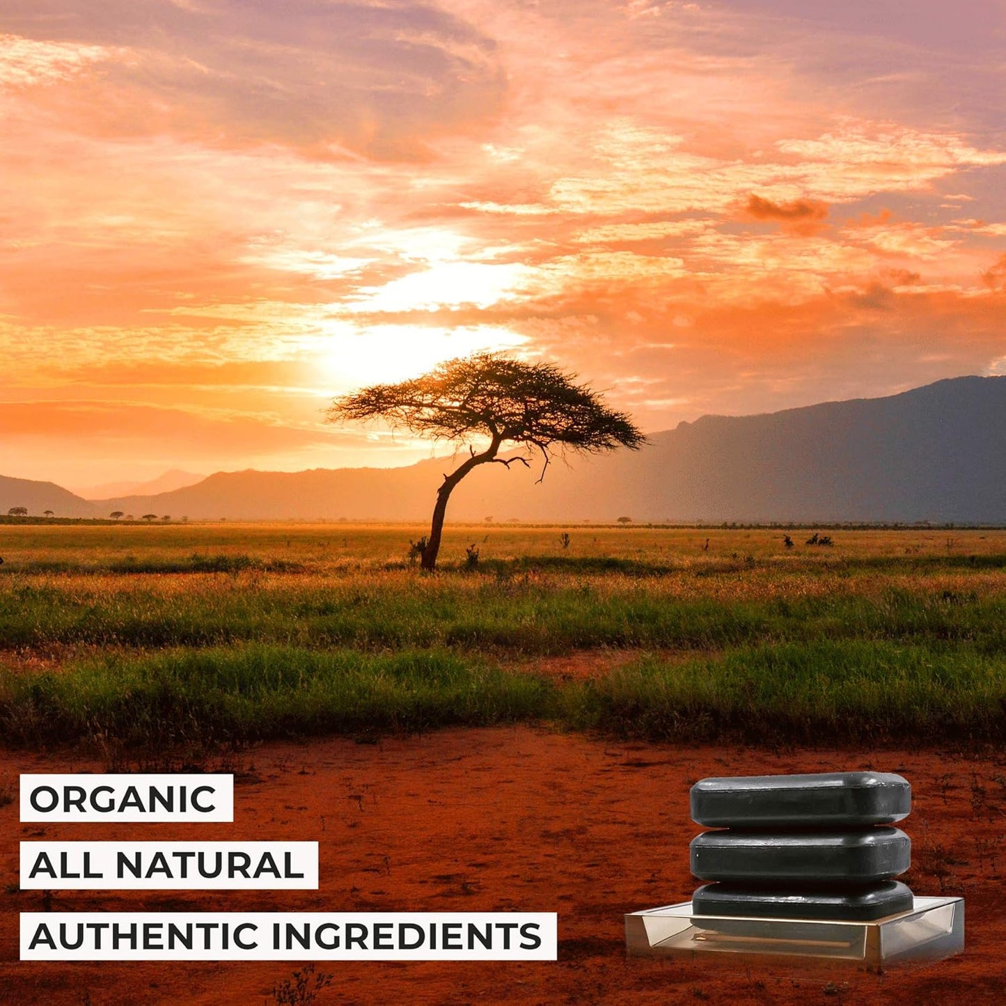O NATURALS 3-Pack Organic Soap Bar 4oz each Set - 100% Vegan Cold Process Body Wash Scented Premium Essential Handmade Soap - Natural Soaps for Men Women, Face, Body - African Black